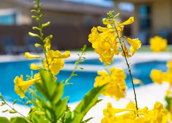 Enjoyable 3 Bedroom House With Heated Pool Option And Same As Hot Tub Vakantiehuis *